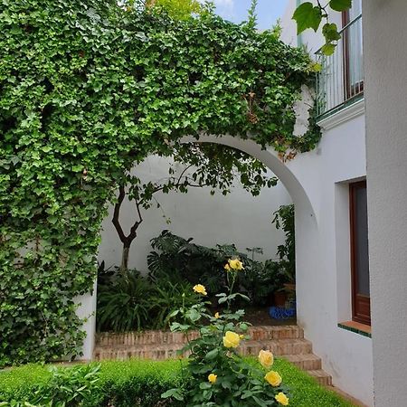 Entre 2 Mezquitas Lejlighed Córdoba Eksteriør billede